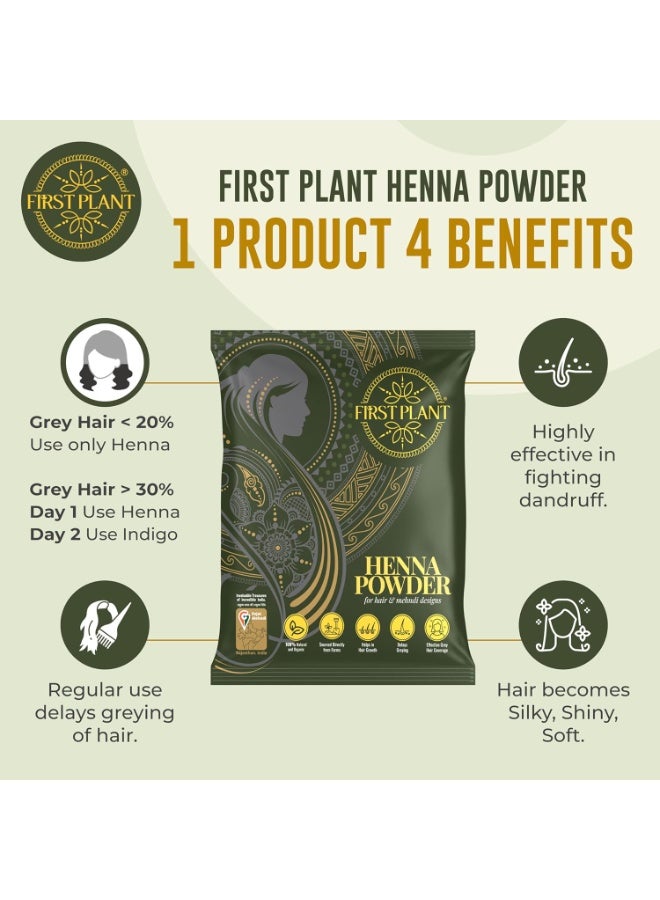 FIRST PLANT Premium Rajasthani HENNA POWDER | 100% Organic Henna Powder for Hair Colour and Hair Care I GI Tagged Henna directly from Farms (350 gm) - Image 3